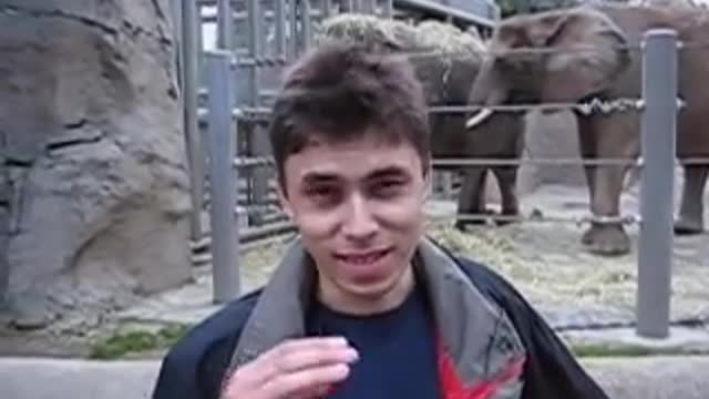 Me at the Zoo with elephant