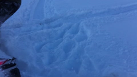 Turnagain Arm Snowmobile Hill Climb