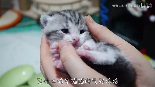 How comfortable it is to have your little tongue out!