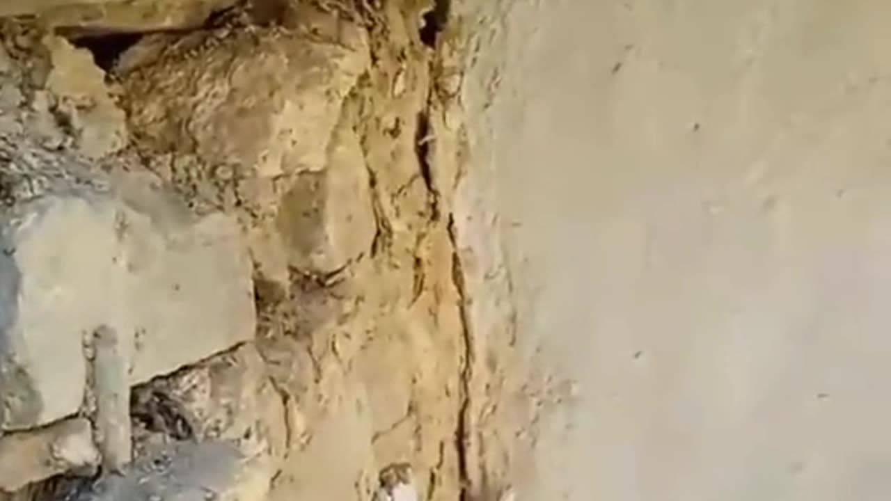 الزنزل الحوز