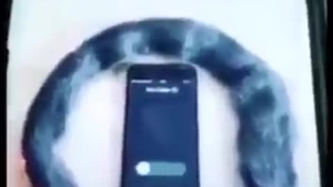 What is 5G doing to our bodies?