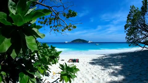 Scenery
