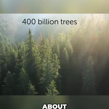 The Hidden World: Exploring the Impact of Trees on Earth