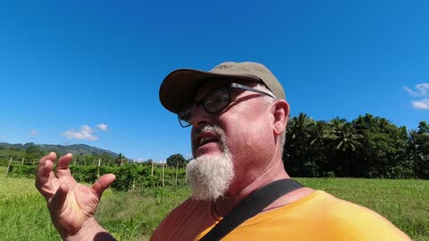 GET OUT OF THE CITIES INTO THE COUNTRY, IT'S GOING TO GET WORSE