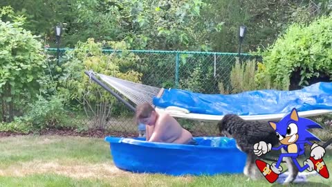 Funny videos