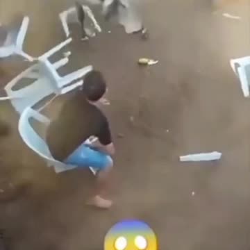 a funny animal video