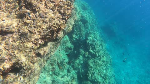 More Maeda snorkeling