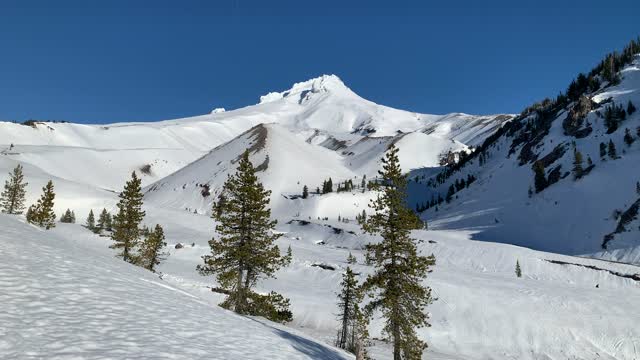 What's That Behind Me? – White River West Sno Park – Mount Hood – Oregon – 4K