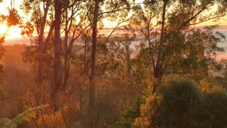 Above the clouds - living in the hills