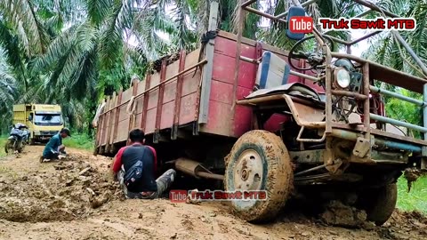 Palm Oil Trucks_Too DECEPTION The Umplung Loaded Palm Trucks Pass through Extreme Terrain!!!