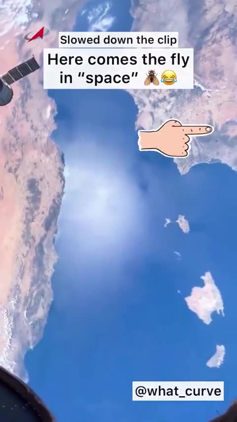 More NASA Fakery from the ISS as viewer spots a fly on one of their fake streams.
