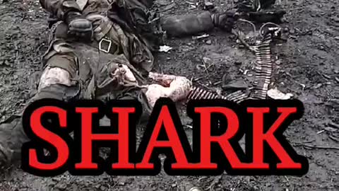 WAR IN DONETSK RUSSIA