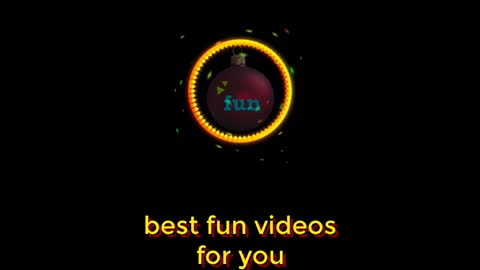 funny animals super 3 minute funny cats and dogs