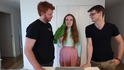 PARROT Q&A! (ft. Archie the Eclectus Parrot)!