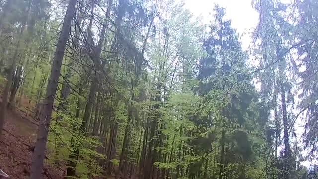 Bear attack on bikers ! MUST WATCH !