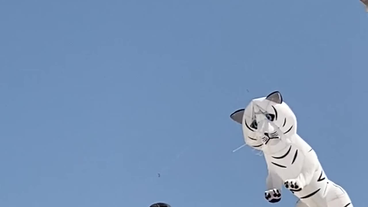 Spiderman kite