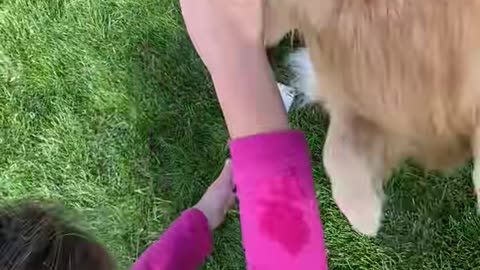 My Dog Meets His Dad