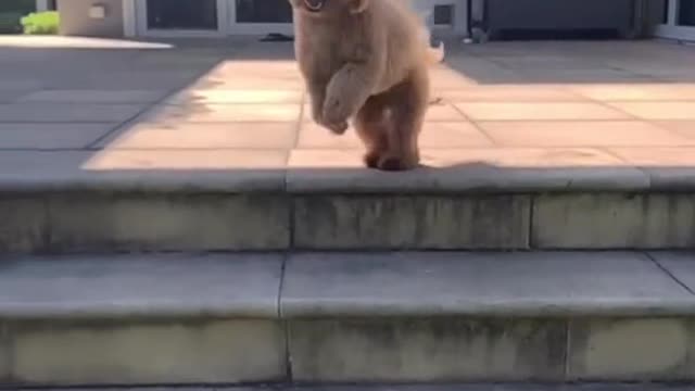 Jumping ain’t no issue anymore