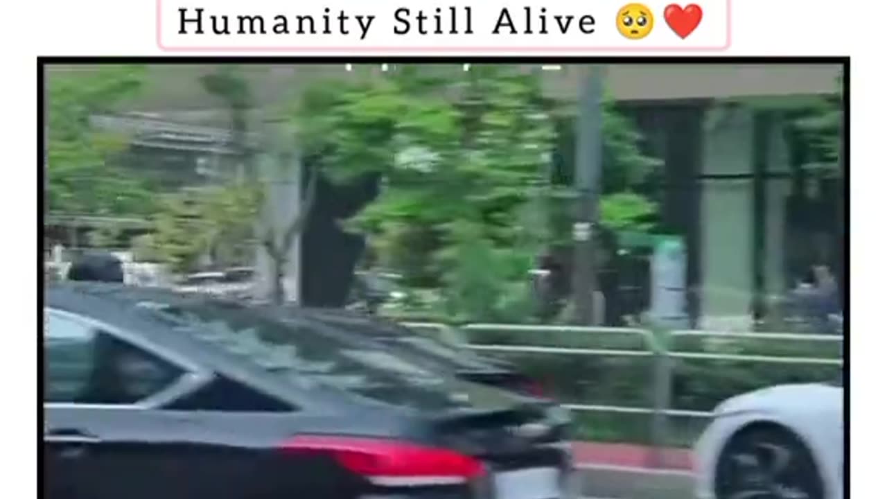 HUMANITY STILL ALIVE ❣️