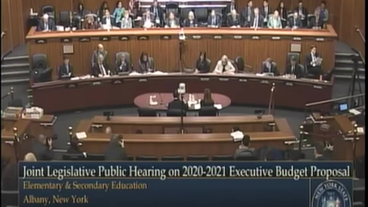 (2/11/20) Malliotakis Questions NYC Chancellor Carranza on School Discipline & Safety