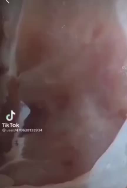 Apparently farmers decided to have fun and vaccinate a chicken