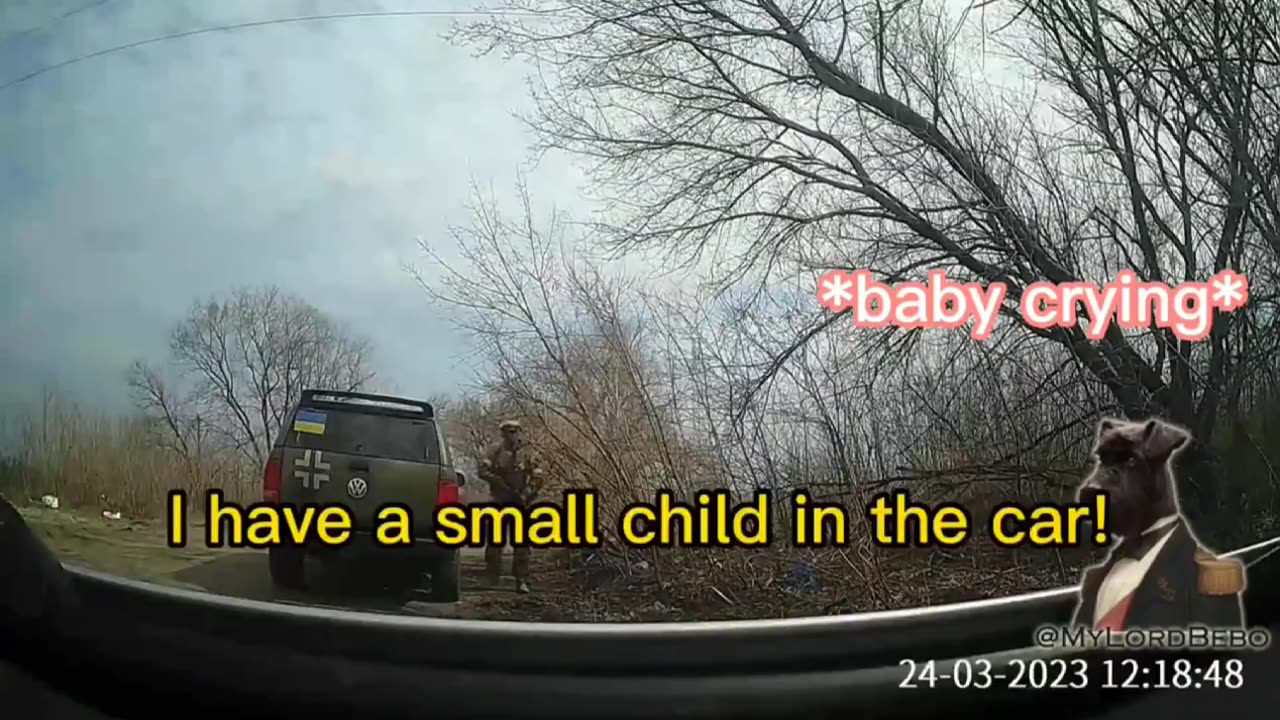 Ukrainian road check