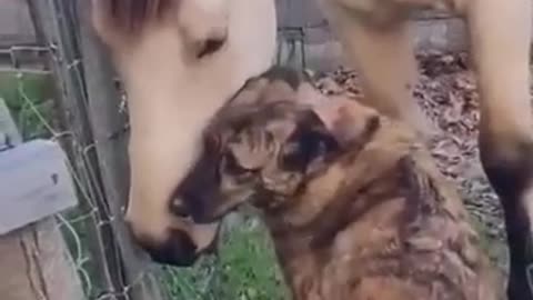 Friends 🥰