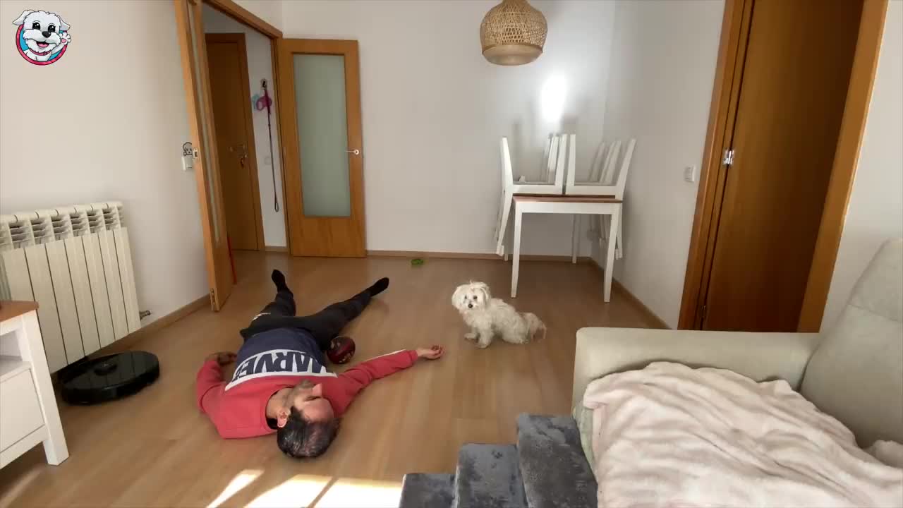 Finjo mi MUERTE delante de mi PERRO ️ Anima Dogs
