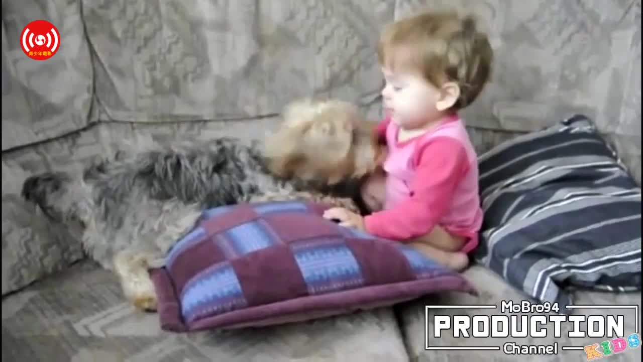 Big Dogs Playing with Babies Compilation