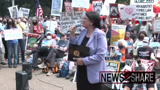 Rashida Tlaib spoke out to Climate Defiance activists in front of the White House