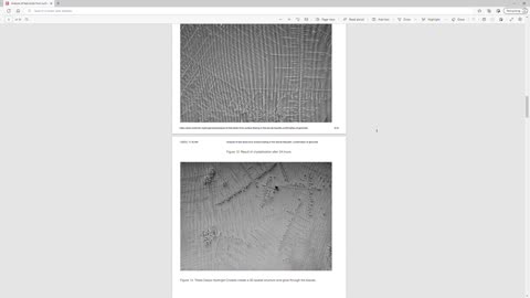 Analysis of test sticks from surface testing in the Slovak Republic -confirmation of genocide