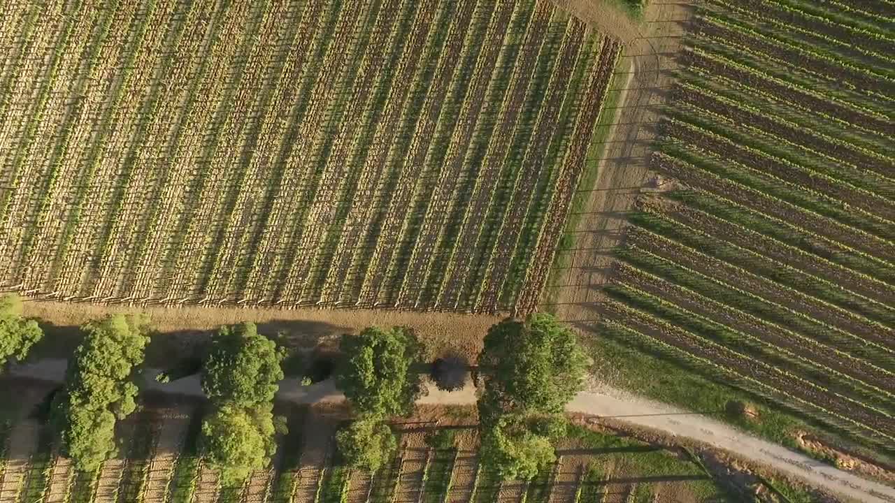 Castello Monte Vibiano Vecchio: Un tuffo nel Cuore Verde d'Italia