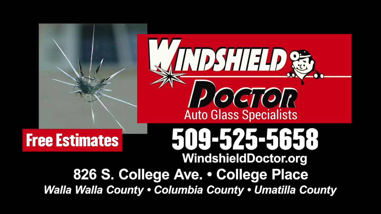 Windshield Doctor