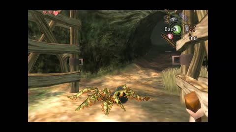 Zelda Twilight Princess Gameplay 10