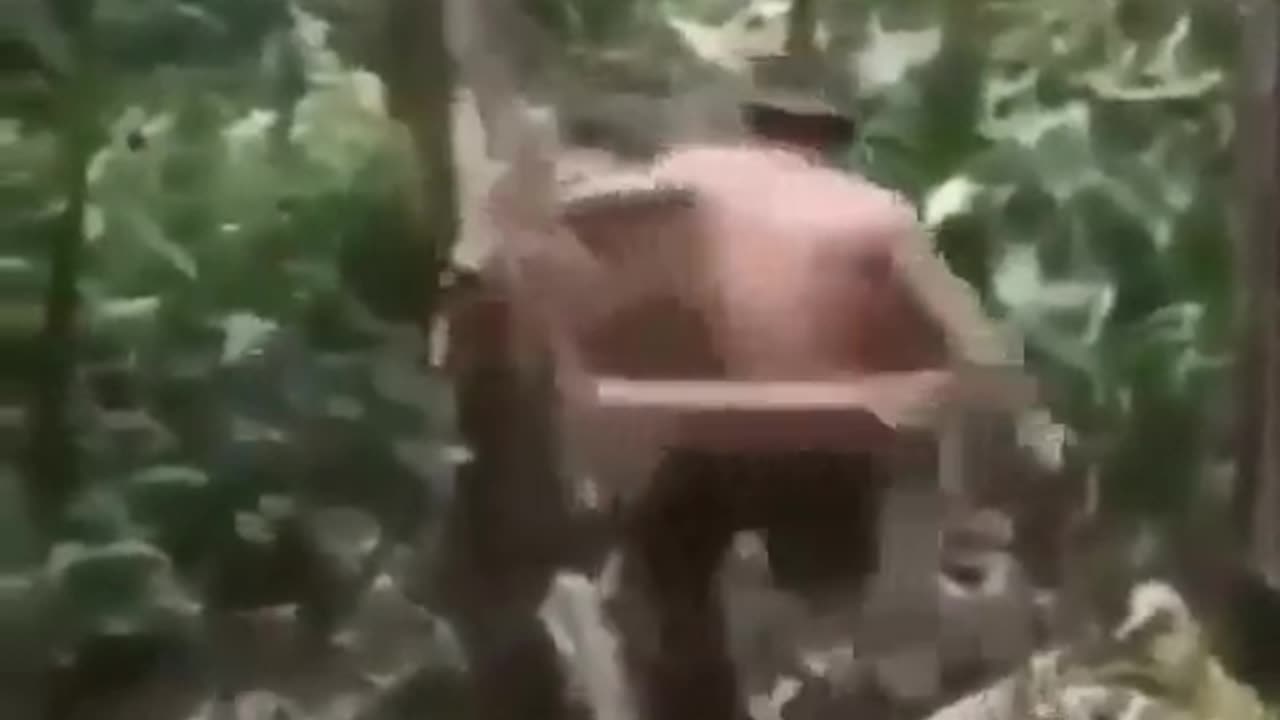 Minecraft Without An Axe