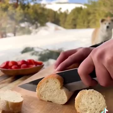 Exploring the Wild Side of Cooking"