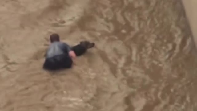 Man jump inside river to save a dog but after some minutes they both needs to be save