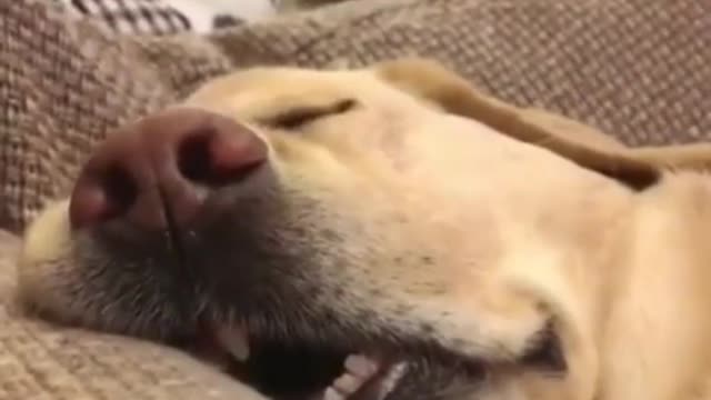 Du hast eine wunderschöne Aufnahme gemacht ❤️