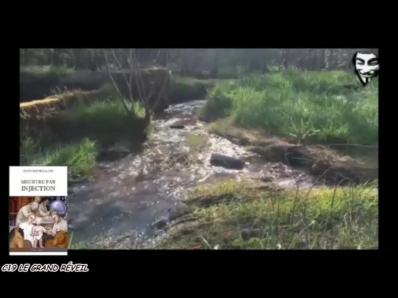 GRIPPE ESPAGNOLE ET COVID... MÊMES CAUSES MÊMES EFFETS... SUIVEZ LE GUIDE !!!