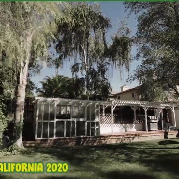 FCG journey of growing Cannabis