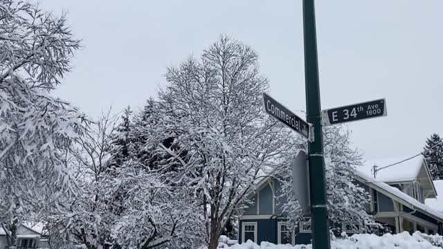 Deep Snow East Vancouver (December 12, 2022)