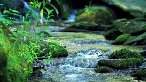 Nature Sounds Without Music - 10-Minutes of a Mountain Stream