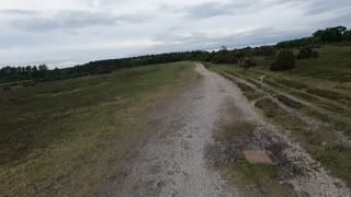 Hiking in the new forest . Lovely views.