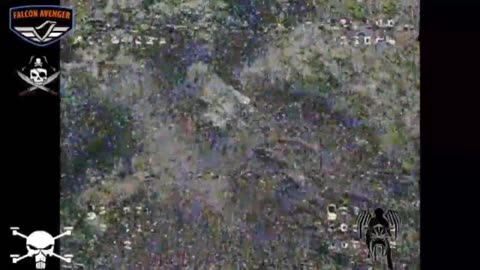 kopani_08.08.2023