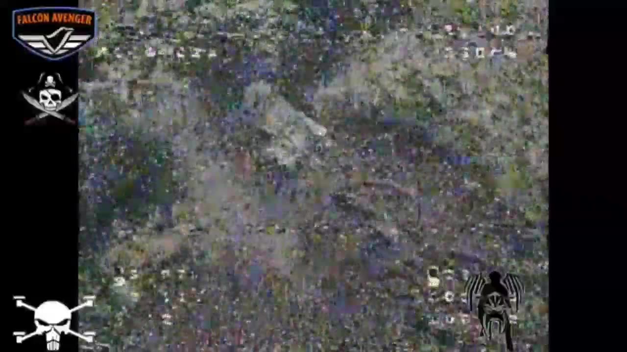 kopani_08.08.2023
