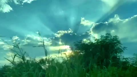 roadside scenery