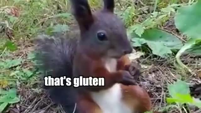 Existential Nut
