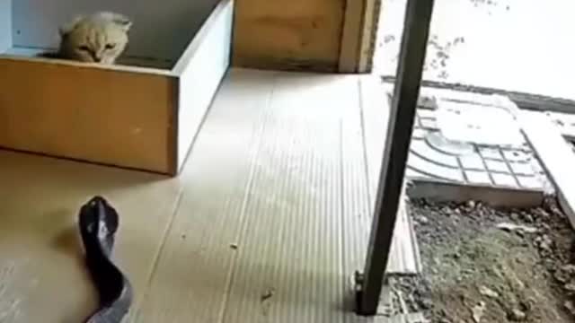 slogan at Liaocheng Prison in