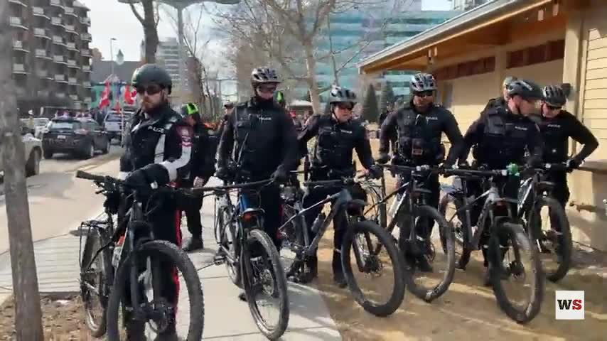 Police move in on protestors at Central Memorial Park after freedom protesters return from city hall