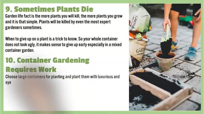 10 Container Gardening Tips